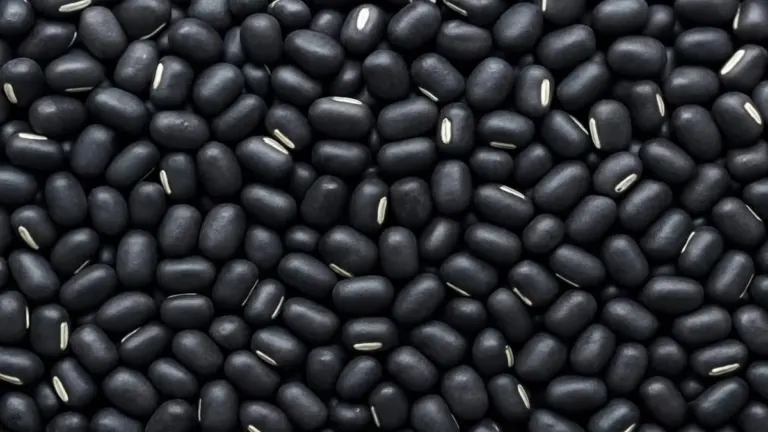 Impotency and infertility Ayurvedic remedies with natural herbs for safe healing